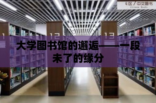 大學(xué)圖書館的邂逅——一段未了的緣分