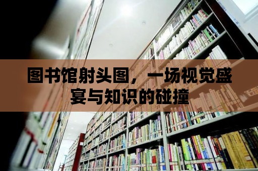 圖書館射頭圖，一場視覺盛宴與知識的碰撞