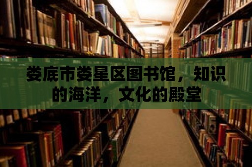 婁底市婁星區(qū)圖書(shū)館，知識(shí)的海洋，文化的殿堂