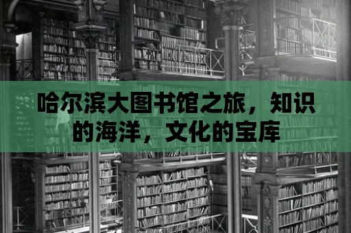 哈爾濱大圖書館之旅，知識的海洋，文化的寶庫