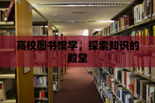 高校圖書館學(xué)，探索知識(shí)的殿堂