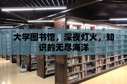 大學圖書館，深夜燈火，知識的無盡海洋