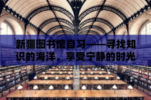 新疆圖書館自習——尋找知識的海洋，享受寧靜的時光