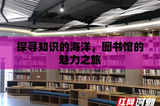 探尋知識的海洋，圖書館的魅力之旅