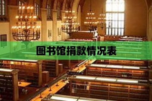 圖書(shū)館捐款情況表