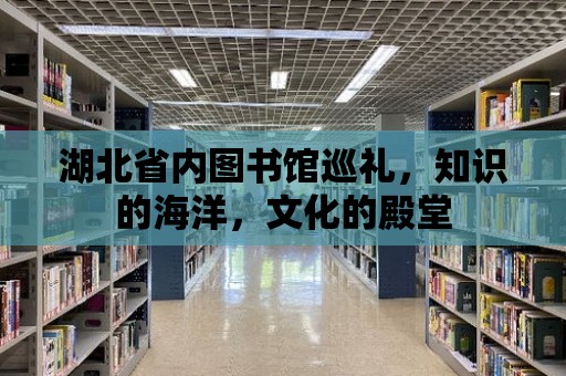 湖北省內圖書館巡禮，知識的海洋，文化的殿堂