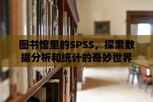 圖書館里的SPSS，探索數(shù)據(jù)分析和統(tǒng)計(jì)的奇妙世界