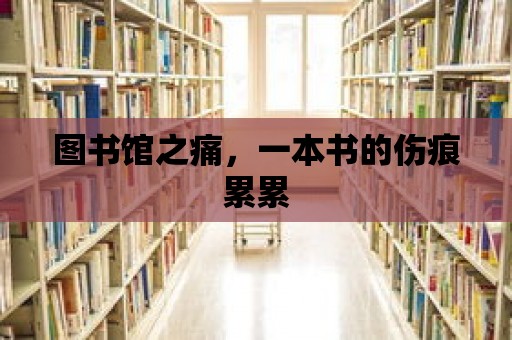 圖書館之痛，一本書的傷痕累累