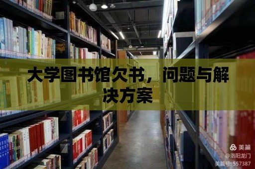 大學圖書館欠書，問題與解決方案