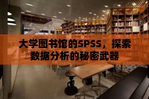 大學(xué)圖書館的SPSS，探索數(shù)據(jù)分析的秘密武器