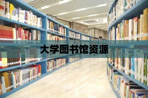 大學圖書館資源