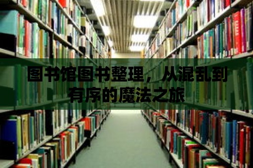 圖書(shū)館圖書(shū)整理，從混亂到有序的魔法之旅