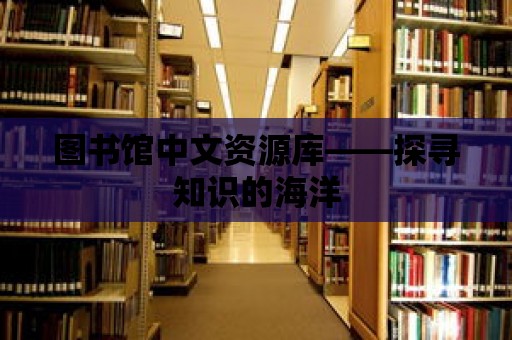 圖書館中文資源庫(kù)——探尋知識(shí)的海洋