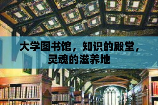 大學圖書館，知識的殿堂，靈魂的滋養地