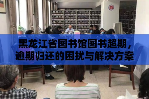 黑龍江省圖書館圖書超期，逾期歸還的困擾與解決方案