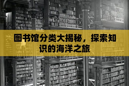 圖書館分類大揭秘，探索知識的海洋之旅