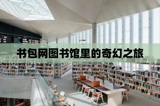 書包網圖書館里的奇幻之旅