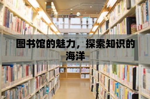 圖書館的魅力，探索知識的海洋