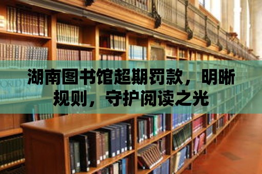 湖南圖書館超期罰款，明晰規(guī)則，守護(hù)閱讀之光