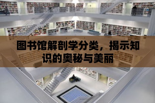 圖書館解剖學(xué)分類，揭示知識(shí)的奧秘與美麗