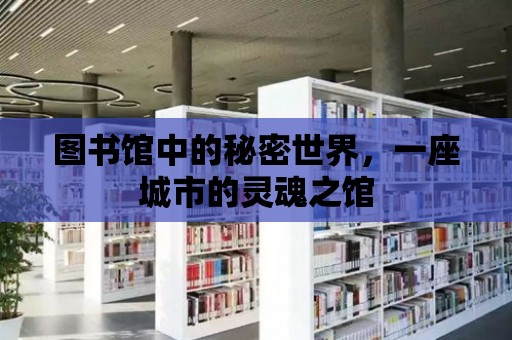 圖書館中的秘密世界，一座城市的靈魂之館