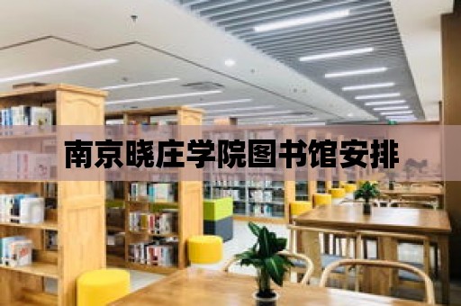 南京曉莊學院圖書館安排