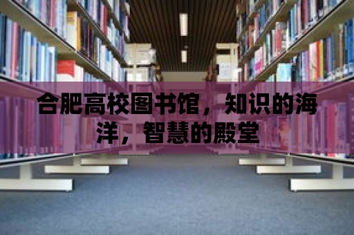 合肥高校圖書館，知識的海洋，智慧的殿堂