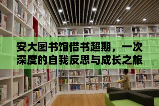 安大圖書館借書超期，一次深度的自我反思與成長之旅