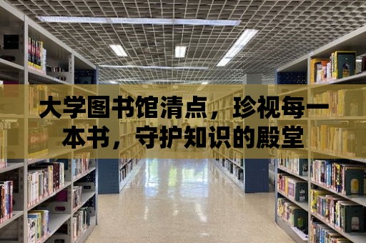 大學圖書館清點，珍視每一本書，守護知識的殿堂