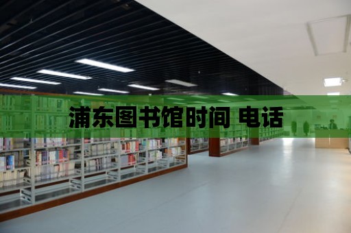 浦東圖書館時(shí)間 電話