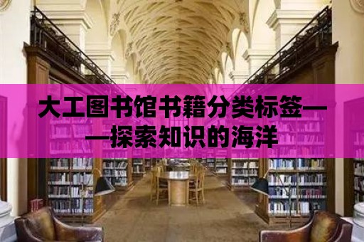 大工圖書館書籍分類標簽——探索知識的海洋