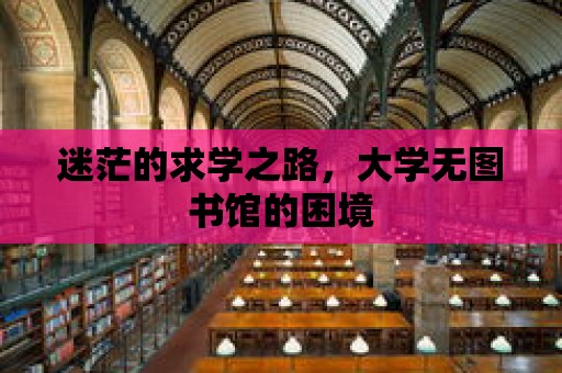 迷茫的求學之路，大學無圖書館的困境