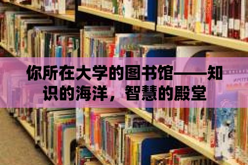 你所在大學的圖書館——知識的海洋，智慧的殿堂