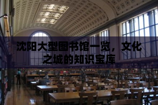 沈陽大型圖書館一覽，文化之城的知識寶庫