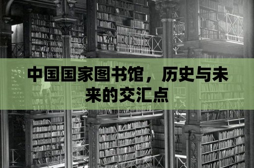 中國(guó)國(guó)家圖書館，歷史與未來的交匯點(diǎn)