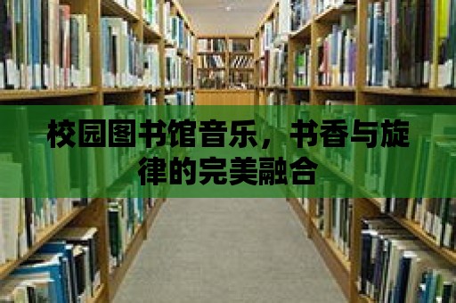 校園圖書(shū)館音樂(lè)，書(shū)香與旋律的完美融合