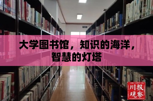 大學(xué)圖書館，知識的海洋，智慧的燈塔