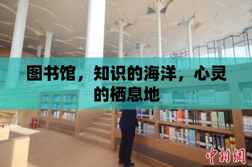 圖書館，知識的海洋，心靈的棲息地