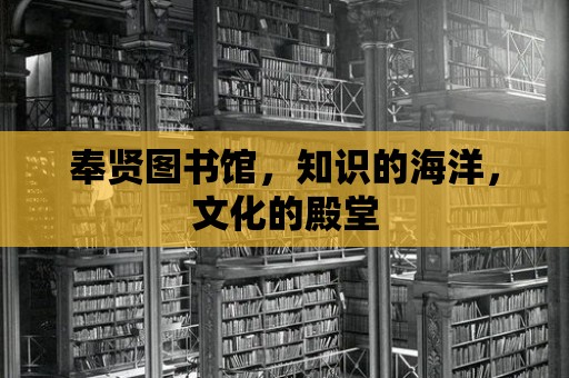 奉賢圖書館，知識的海洋，文化的殿堂