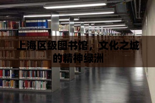 上海區(qū)級圖書館，文化之城的精神綠洲