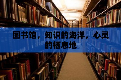 圖書館，知識的海洋，心靈的棲息地