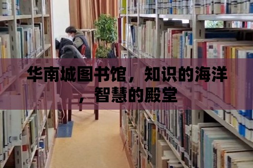 華南城圖書館，知識的海洋，智慧的殿堂