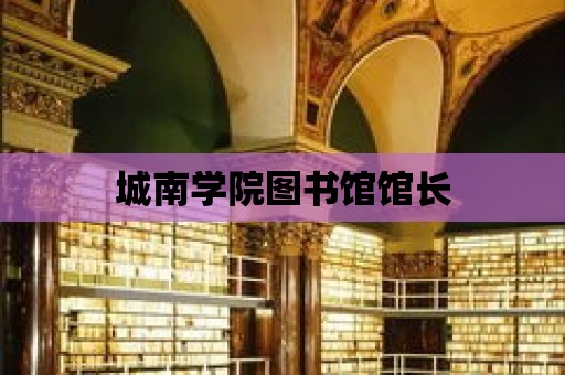 城南學(xué)院圖書館館長