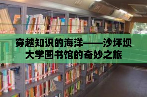 穿越知識的海洋——沙坪壩大學圖書館的奇妙之旅