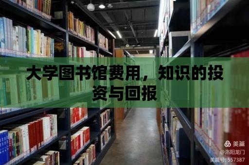 大學圖書館費用，知識的投資與回報