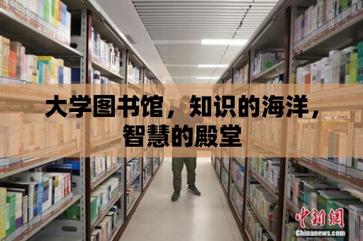 大學圖書館，知識的海洋，智慧的殿堂