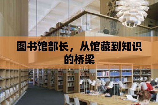 圖書館部長，從館藏到知識的橋梁