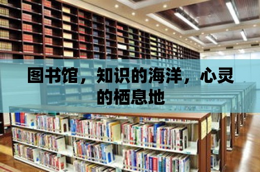 圖書館，知識(shí)的海洋，心靈的棲息地