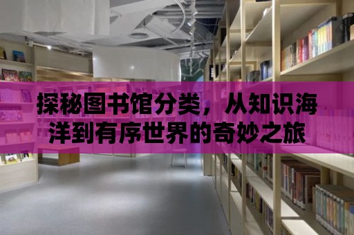 探秘圖書館分類，從知識海洋到有序世界的奇妙之旅