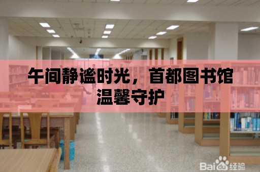 午間靜謐時光，首都圖書館溫馨守護